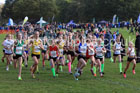 Girls Under-14s 2026 Northern Cross Country Relays, Graves Park, Sheffield. Photo: David T. Hewitson/Sports for All Pics